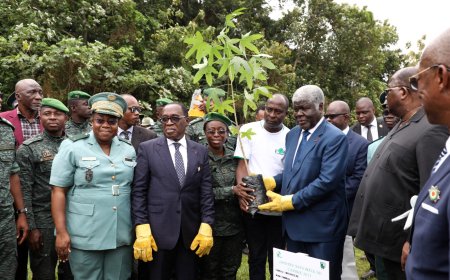 Journée Nationale de l’Arbre 2024 : Dr Aka Aouélé réitère l'engagement du CESEC pour un avenir plus vert et durable