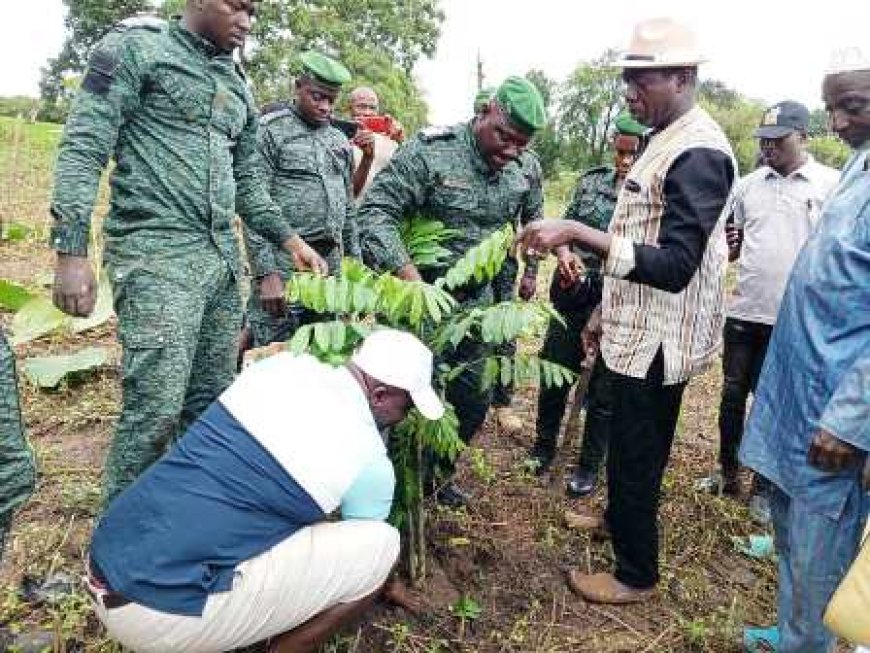 Korhogo /  Lutte contre la déforestation : Dagba abrite le lancement d’une importante opération de planting d’arbres