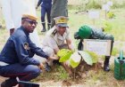Touba / Reboisement: Les pompiers civils du Bafing initient une journée de planting d'arbres