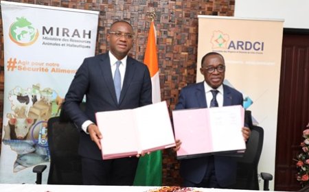 Production animale et halieutique : L'ARDCI et le MIRAH s'unissent
