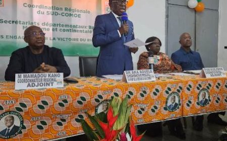 Coordination régionale Rhdp Sud Comoé : Dr Aka Aouélé met ses lieutenants en ordre de bataille