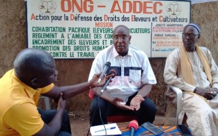 Korhogo / Conflits éleveurs-cultivateurs : Le président Lassina Néou partage son expertise