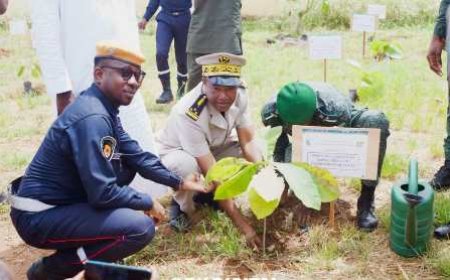 Touba / Reboisement: Les pompiers civils du Bafing initient une journée de planting d'arbres