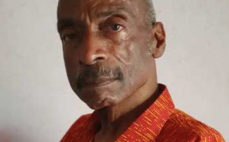 Georges Ravoteur, concepteur et promoteur du carnaval Ivoiro-antillais : « L’événement aura lieu à Bingerville du 21 au 22 février 2025 ».