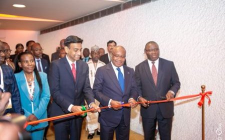 6ème réunion de l’ASI : Plus de 100 campements électrifiés par des mi-centrales solaires photovoltaïques d’ici à 2030