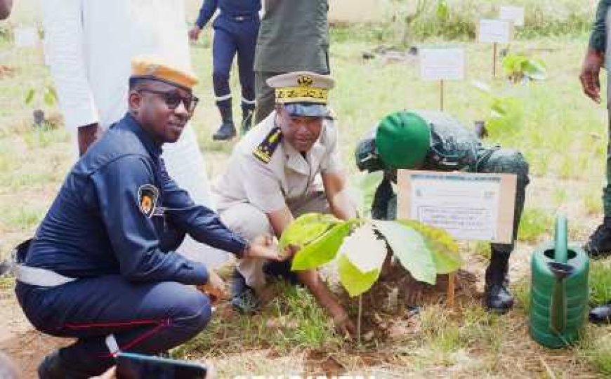 Touba / Reboisement: Les pompiers civils du Bafing initient une journée de planting d'arbres