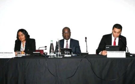 10ème Session extraordinaire de la Conférence Ministérielle Africaine sur l'Environnement (CMAE / AMCEN) : Les acteurs de la société civile en consultation pour une position africaine