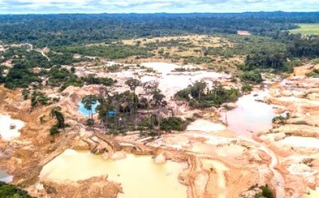 Lutte contre l’orpaillage illégal : les efforts significatifs du gouvernement pour éradiquer le fléau