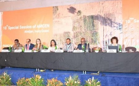 Désertification et dégradation des sols en Afrique : une crise environnementale et socio-économique qui exige une attention urgente, selon le ministre Jacques Assahoré Konan