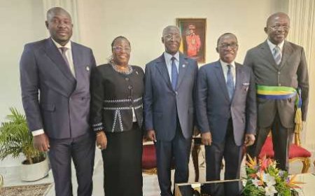 Développement économique et social/ Dr Aka Aouélé partage l'expérience du Cesec avec le CESE du Gabon