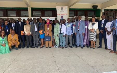 Lutte contre la déforestation : la Banque mondiale et le gouvernement réaffirment leur engagement pour la gestion durable des forêts.