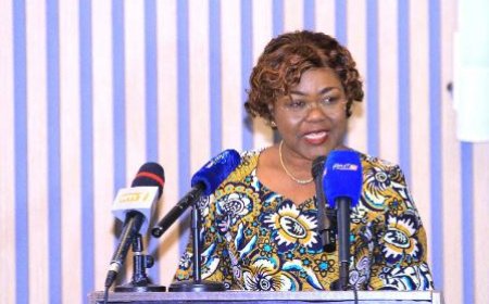 Système statistique africain : la ministre Nialé Kaba exhorte les acteurs à trouver des solutions pour améliorer la qualité des statistiques