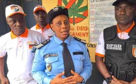 Korhogo /Lutte contre les Drogues : La Police frappe un grand coup