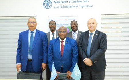 Sécurité alimentaire et nutritionnelle en Afrique : la FAO et le gouvernement ivoirien lancent en octobre prochain l’Initiative Main dans la Main (MdM)