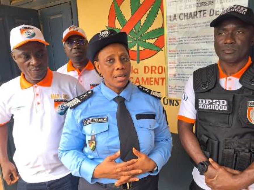 Korhogo /Lutte contre les Drogues : La Police frappe un grand coup