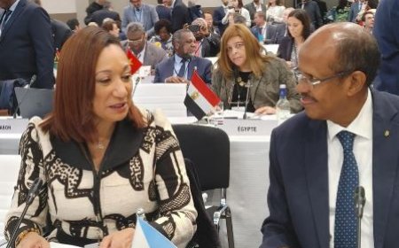 45e Conférence ministérielle de la Francophonie : la ministre Françoise Remarck porte la voix de la Côte d’Ivoire