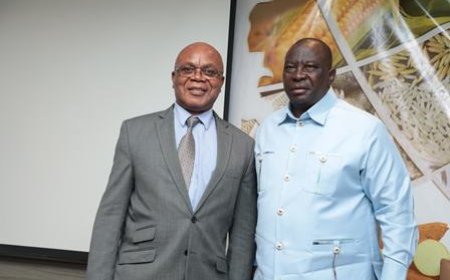 Développement de l’agriculture : le ministre Kobenan Kouassi Adjoumani réaffirme la volonté du gouvernement de disposer d’un secteur semencier solide