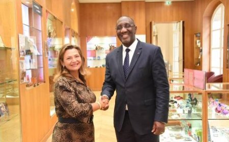 Lutte contre la contrefaçon : le Ministre Souleymane Diarrassouba échange avec le Comité Anti-Contrefaçon de France