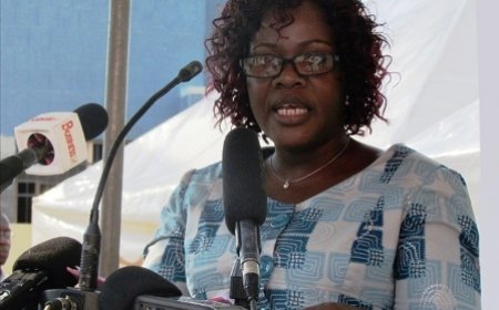 Commission Nationale de la Francophonie : Bernise N'GUESSAN (SG) privée de Salaire depuis 36 Mois