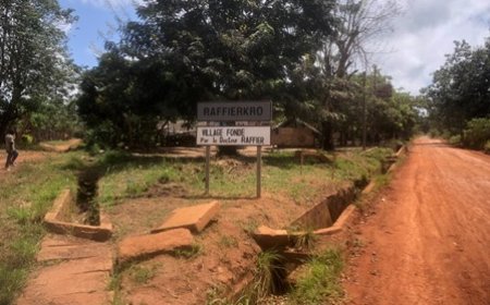 Lèpre  Dans l’univers des oubliés de Raffierkro