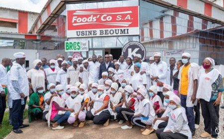 Insertion professionnelle : de nombreux jeunes insérés grâce aux programmes de l’Agence Emploi Jeunes