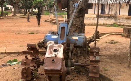 Vivre avec la stigmatisation de lèpre : récits d’un village en quête de dignité