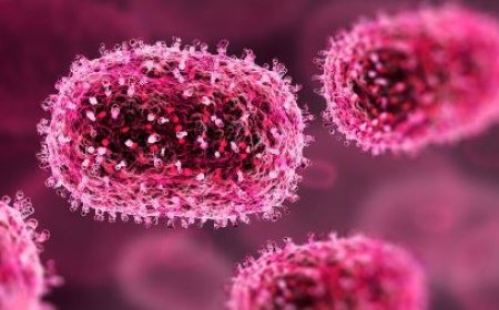 Épidémie de M-pox en Côte d’Ivoire : 251 cas suspects et 61 cas confirmés