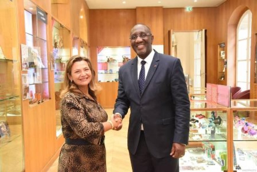 Lutte contre la contrefaçon : le Ministre Souleymane Diarrassouba échange avec le Comité Anti-Contrefaçon de France