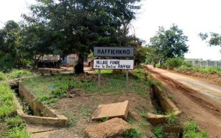 Lèpre Dans l’univers des oubliés de Raffierkro