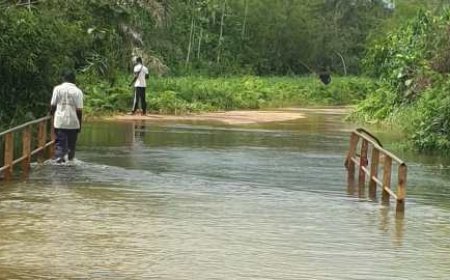 Dabou : Isolés en saison de pluies, les habitants d'armébé lancent un appel à l'aide