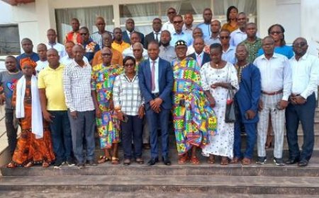 Lutte contre la malnutrition : les mutuelles des villages encouragées à s'approprier la stratégie des foyers de renforcement des activités de nutrition communautaire (FRANCs)