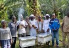 Conservation de la réserve naturelle du Mont Nimba : l’OIPR mise sur l’apiculture pour impliquer les communautés