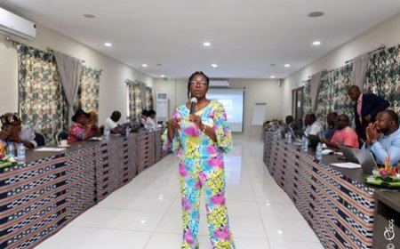 Gestion des plaintes dans le cadre de la sauvegarde sociale du PA-PSGOUV : un atelier de revue du document de mécanisme ouvert à Yamoussoukro