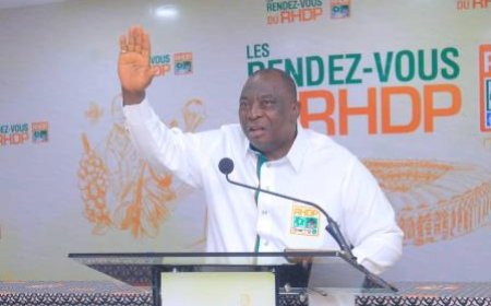 Kobenan Kouassi Adjoumani : Le RHDP est prêt pour les élections de 2025