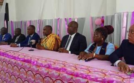 Présidentielle 2025 en Côte d’Ivoire : Le mouvement 2025 EWAN ADO dévoile son équipe dirigeante