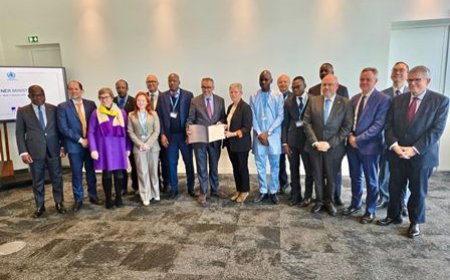 Formation des ressources humaines en santé : le ministre Pierre N'Gou Dimba partage l'expérience ivoirienne à Lyon