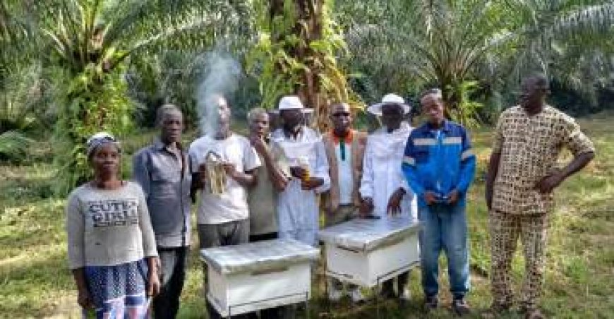 Conservation de la réserve naturelle du Mont Nimba : l’OIPR mise sur l’apiculture pour impliquer les communautés