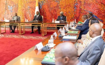 Fuite des produits de rente vers les pays frontaliers : le Conseil national de sécurité salue les résultats remarquables obtenus par l'opération "Verrou 322"