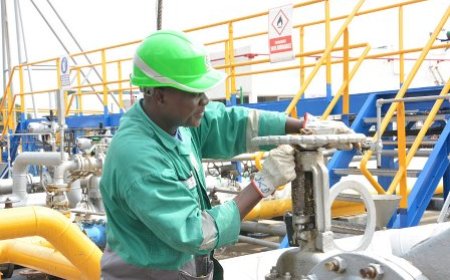 Gisement pétrolier Baleine phase 2 : la production de pétrole brut atteindra près de 60 000 barils par jour contre 35 000 prévus