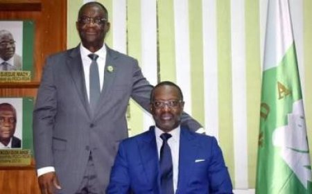 Décision du PDCI-RDA : Maurice Kakou Guikahué nommé Conseiller Politique du Président