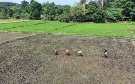 Lutte contre la pauvreté : les filets sociaux productifs améliorent la qualité de vie des femmes de Diatokro
