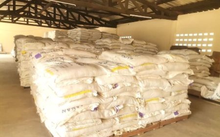 Appui au secteur aquacole : le PSTACI octroie 42 tonnes d'aliments aux pisciculteurs des régions du Bélier et du Gbêkê