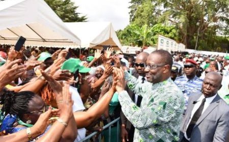 PDCI-RDA : Tidjane Thiam prône une élection présidentielle transparente et inclusive lors de la cérémonie des vœux