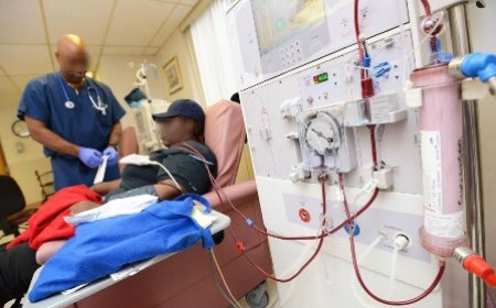 Prise en charge de l'insuffisance rénale : d'importants progrès réalisés dans la prise en charge des malades