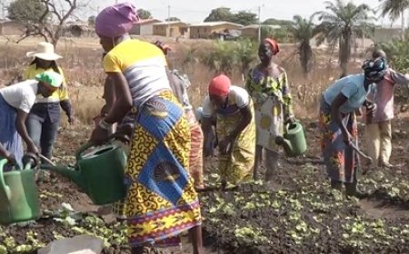 Séguéla : la mine d'or soutient les femmes et les hommes avec des projets générateurs de revenus