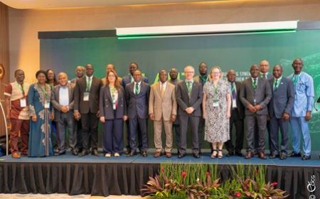 Intégration de la santé des plantes en Afrique dans l'approche "One Health" : les acteurs clés privilégient une synergie d’action