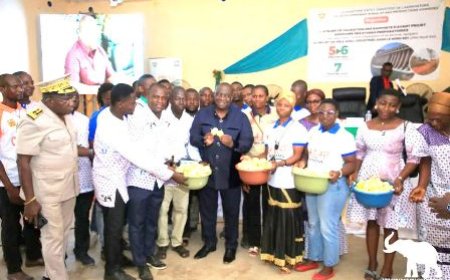 Agropole du Nord-Est de Côte d'Ivoire : le gouvernement réaffirme sa volonté d'accélérer la mise en œuvre du projet à fort impact socio-économique