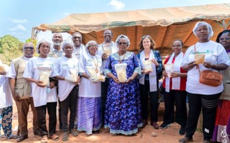 Projet d'Appui au Programme social du gouvernement : Une unité de production de manioc améliore la vie des populations de Tiassalé
