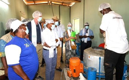 Unité semi-industrielle de transformation de manioc de N'douci : la BAD salue un instrument de promotion et d'inclusion sociale de la femme