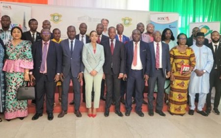 Siimea 2025 : Un salon stratégique pour l’investissement de la Diaspora africaine